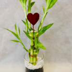 Valentine Heartly Bamboo