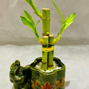 Ceramic Elephant with Bamboo